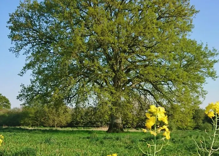 La Herriere Dom wakacyjny *